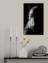 Catching Light Poster och Canvastavla