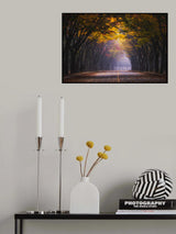 Autumn morning Poster och Canvastavla