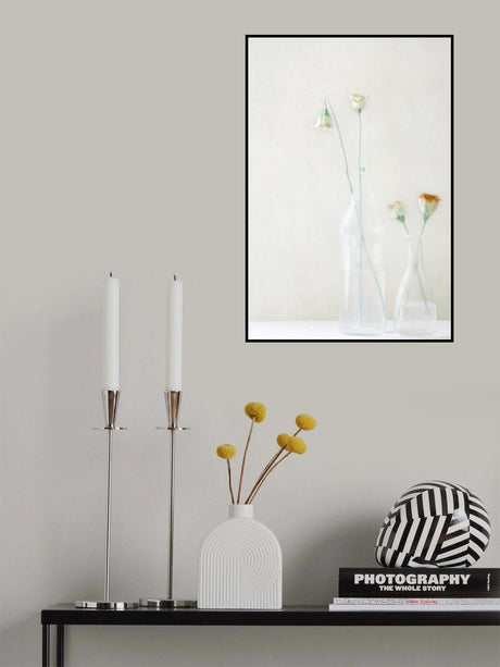 Simplicity and Elegance Poster och Canvastavla