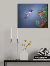 Approaching Happily Poster och Canvastavla