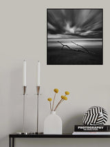 Il ramo Poster och Canvastavla
