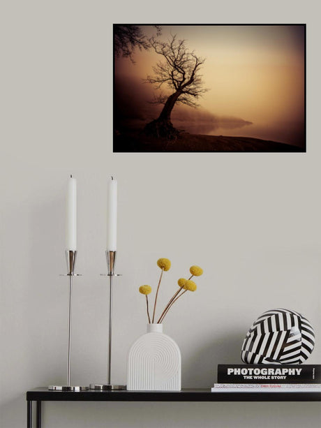 January Lakemood Poster och Canvastavla