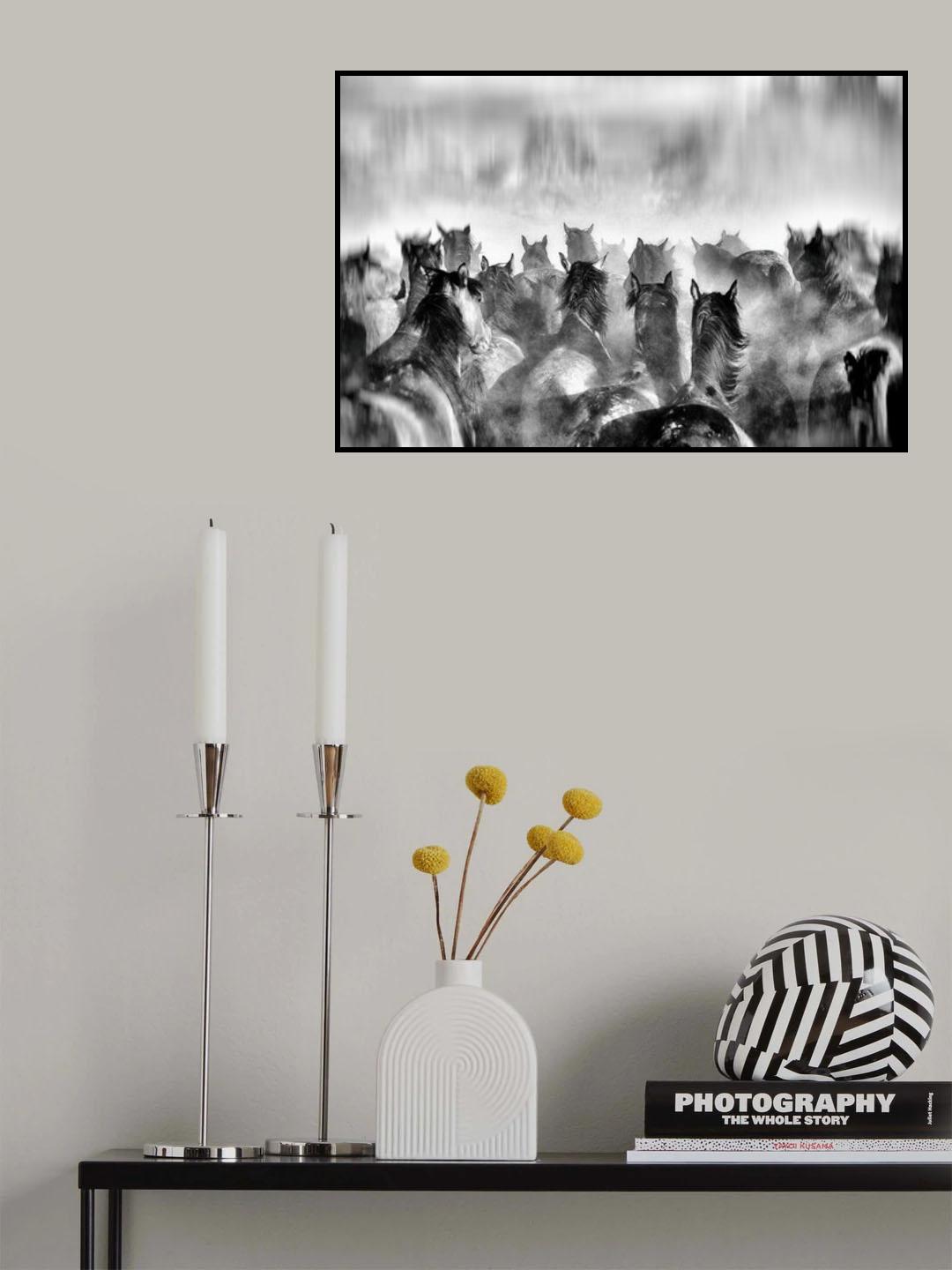 Horses Poster och Canvastavla
