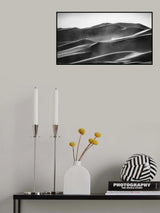 Blowing in the wind Poster och Canvastavla