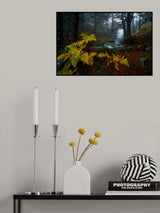 Deep in the forest Poster och Canvastavla