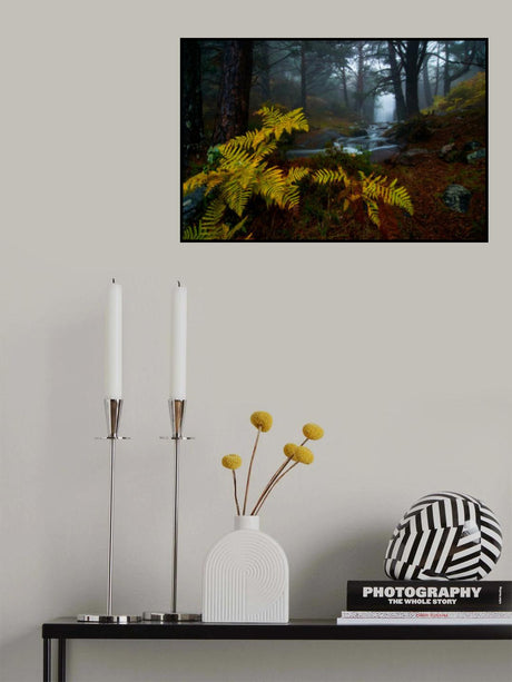 Deep in the forest Poster och Canvastavla