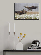 Eagle fights Poster och Canvastavla