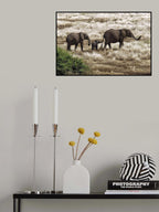 Elephant Family, Tanzania Poster och Canvastavla