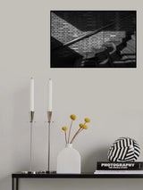 Birdman on step Poster och Canvastavla