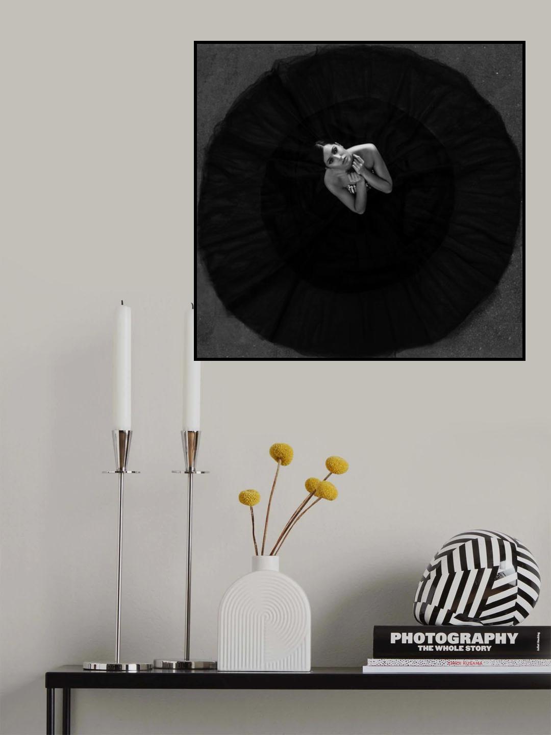 Black swan Poster och Canvastavla