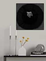 Black swan Poster och Canvastavla