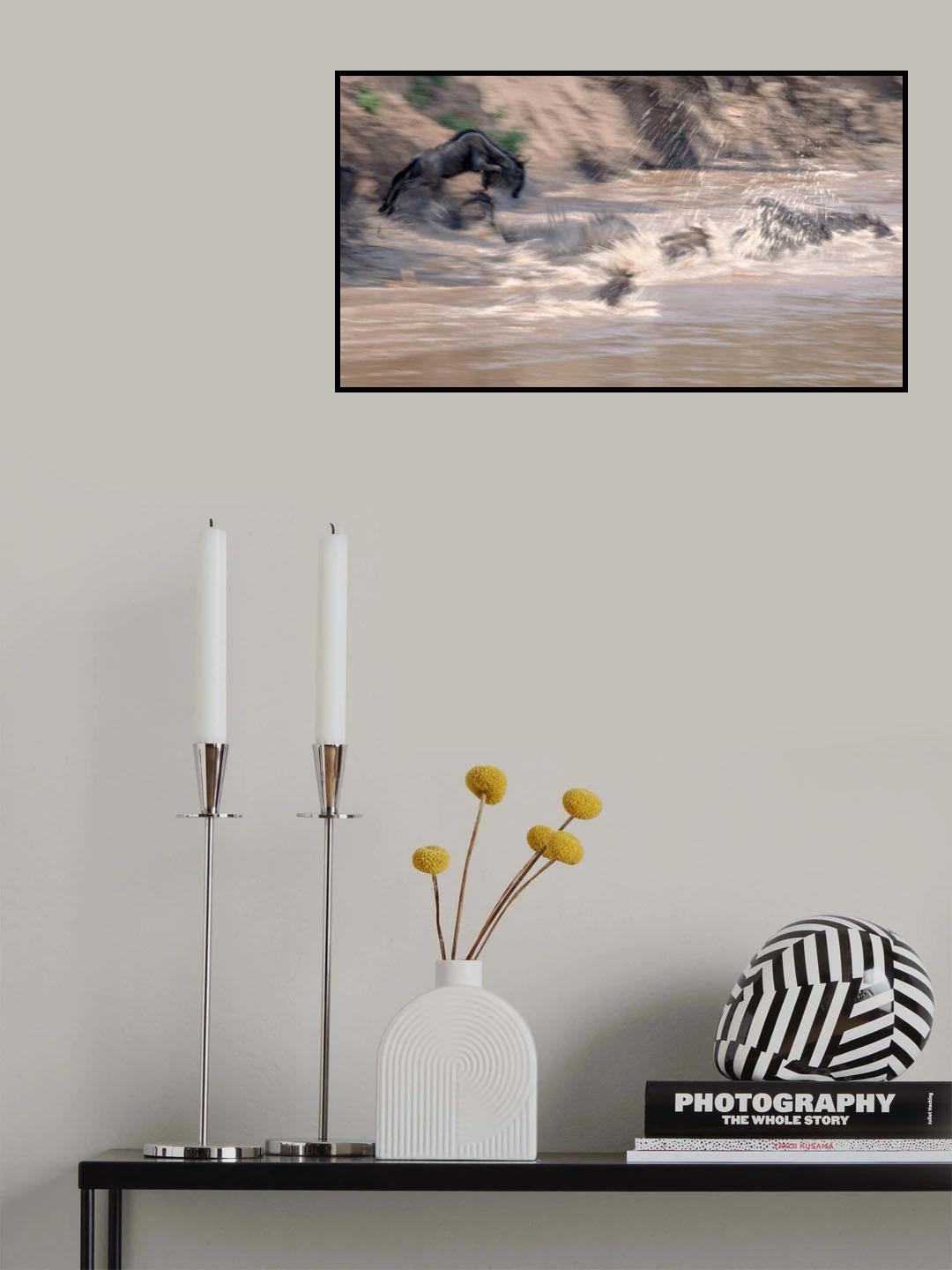 Jumping Poster och Canvastavla