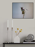 Stretching Poster och Canvastavla