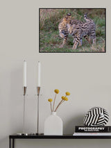 Brothers Poster och Canvastavla