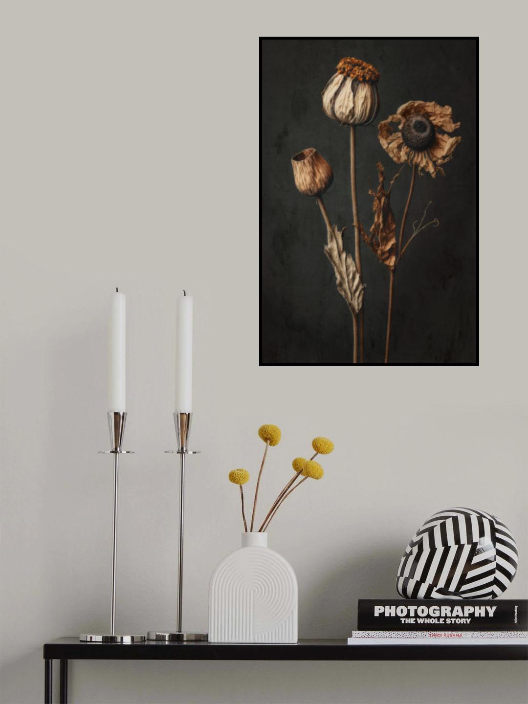 Dry Beauties Poster och Canvastavla