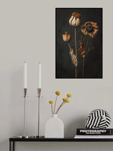 Dry Beauties Poster och Canvastavla
