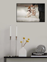 Russels bag Poster och Canvastavla
