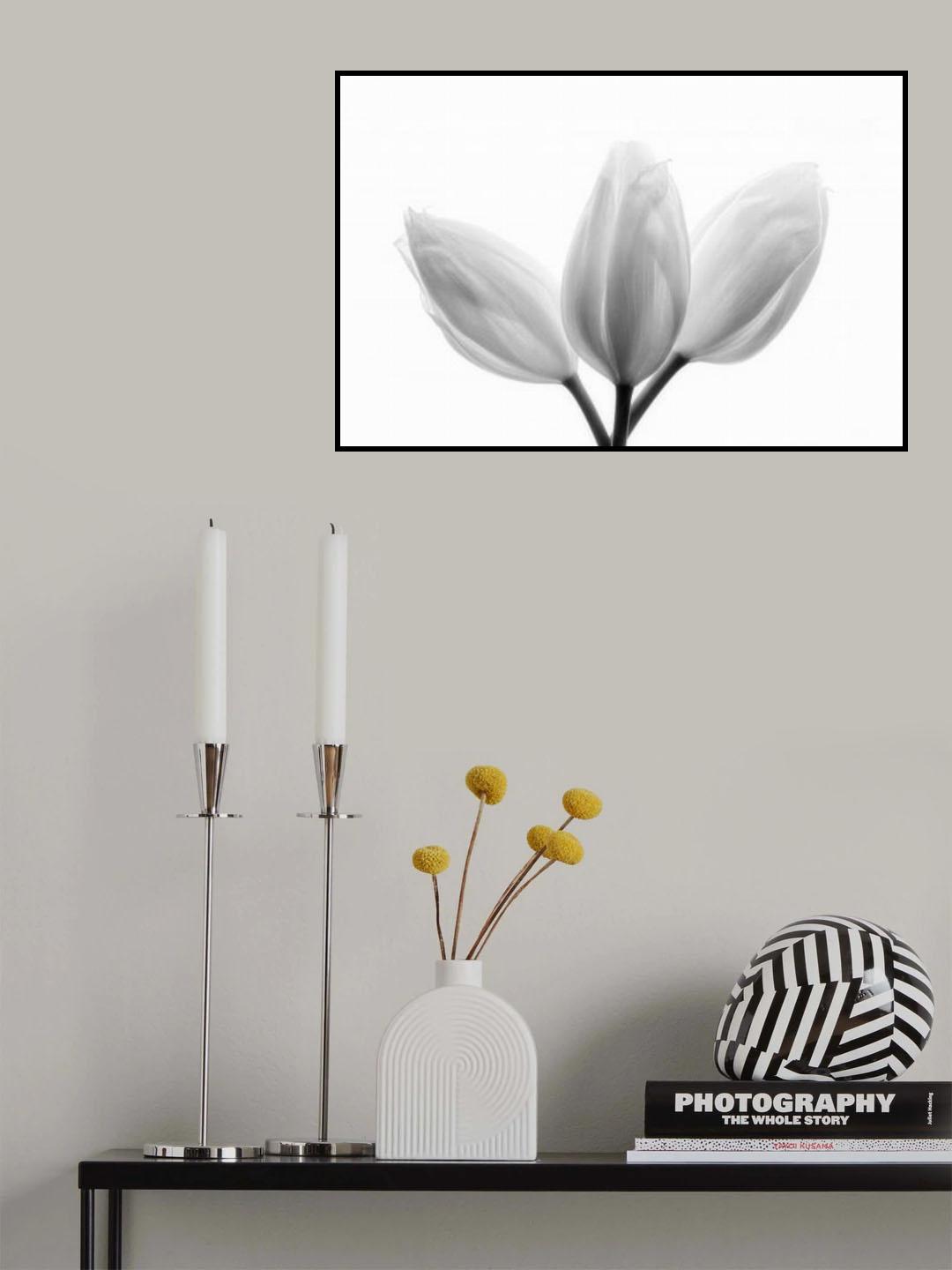 Trinity Poster och Canvastavla