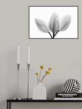 Trinity Poster och Canvastavla