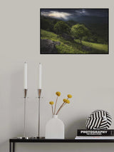 Lovely Season Poster och Canvastavla