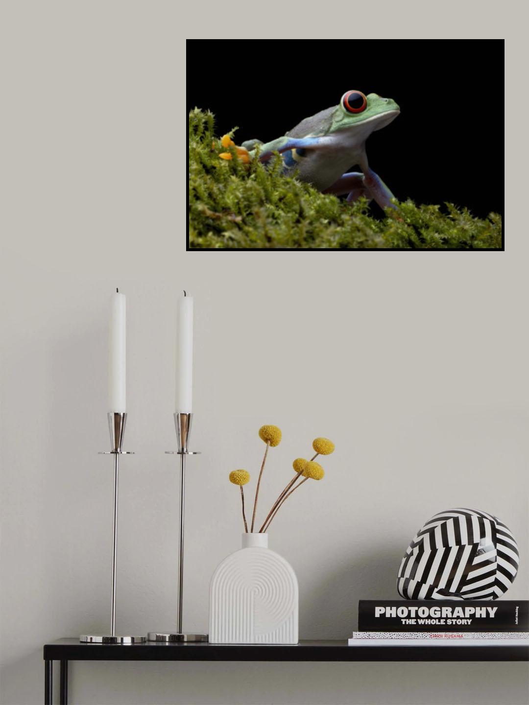 Red-eyed Poster och Canvastavla