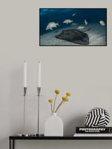 Join us to to enjoy ocean! Poster och Canvastavla