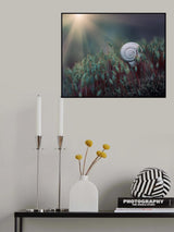 ....@. Poster och Canvastavla