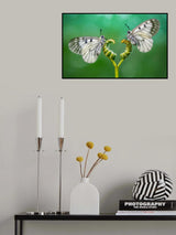 LOVE Poster och Canvastavla