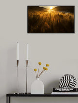 Aerial shot of an autumn forest Poster och Canvastavla