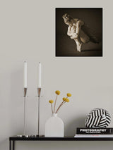 Embrace Poster och Canvastavla