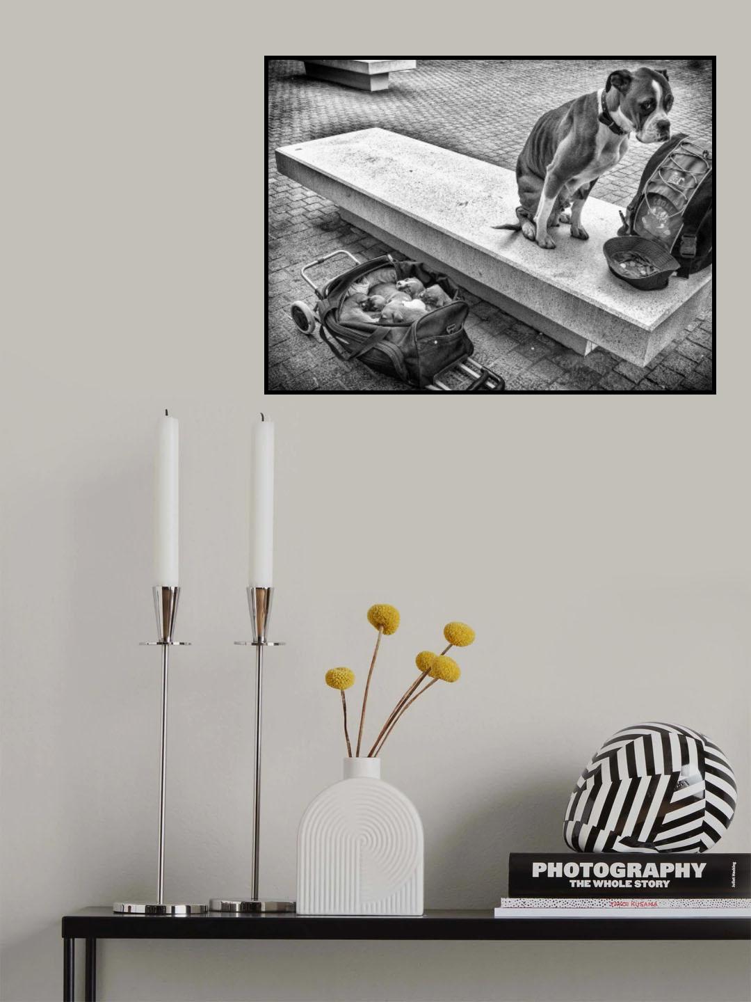 Family provider Poster och Canvastavla