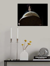 Rice story Poster och Canvastavla