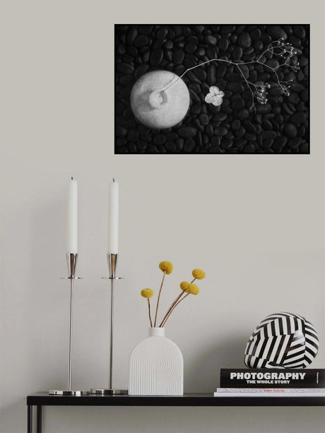 Poster och Canvastavla