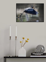 Poster och Canvastavla