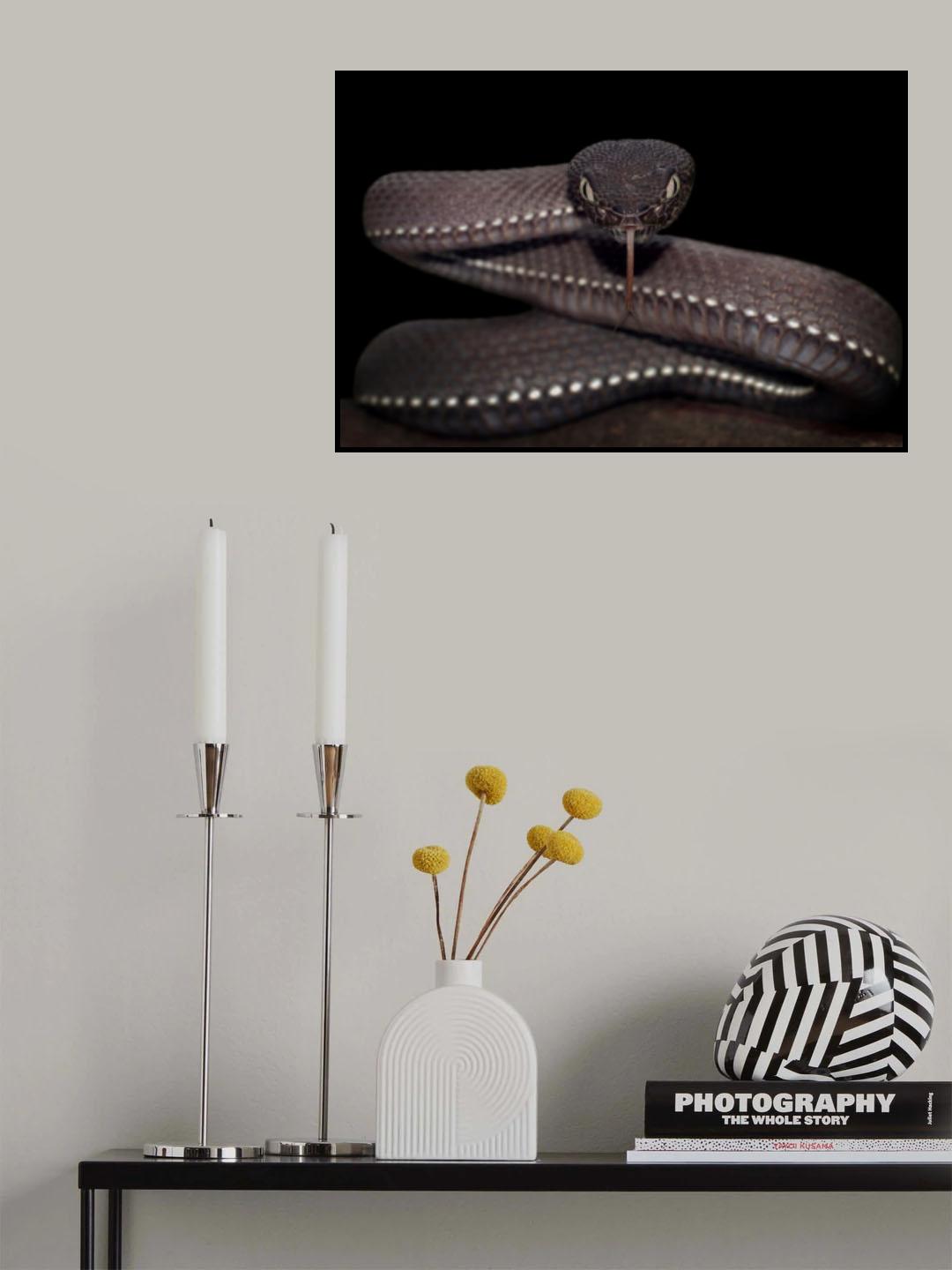 Don't move Poster och Canvastavla