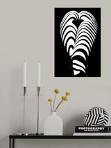 zebra ass 2 Poster och Canvastavla