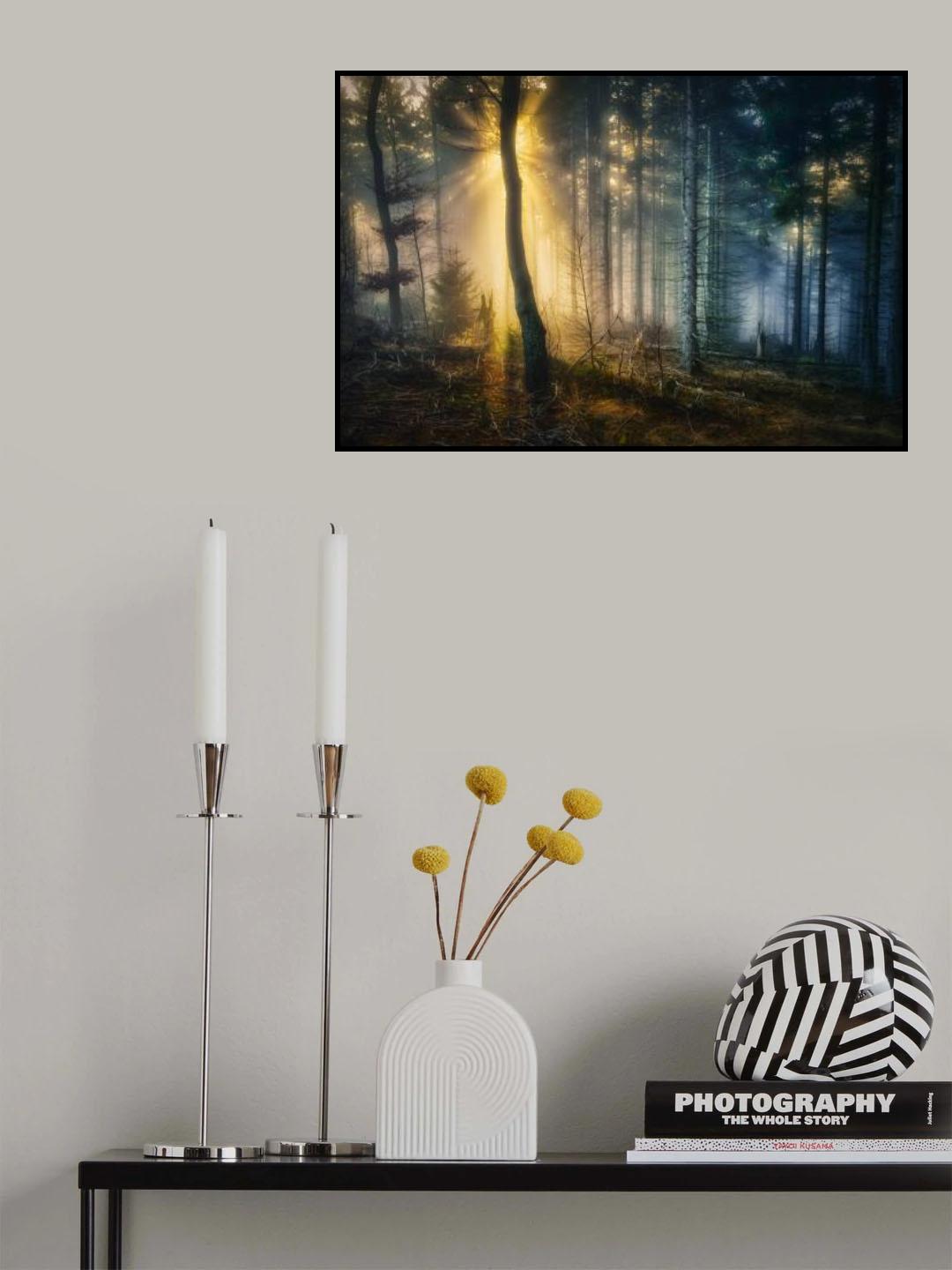 Forest mystery Poster och Canvastavla