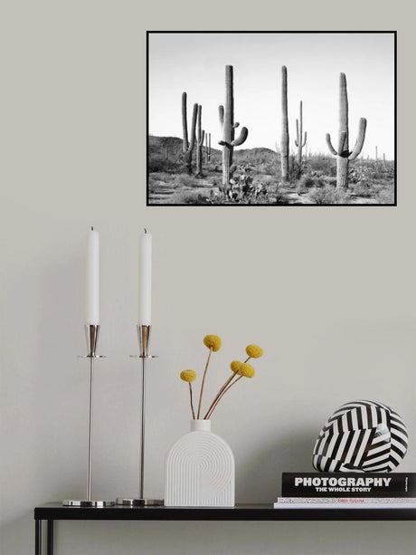 Grey Cactus Land Poster och Canvastavla