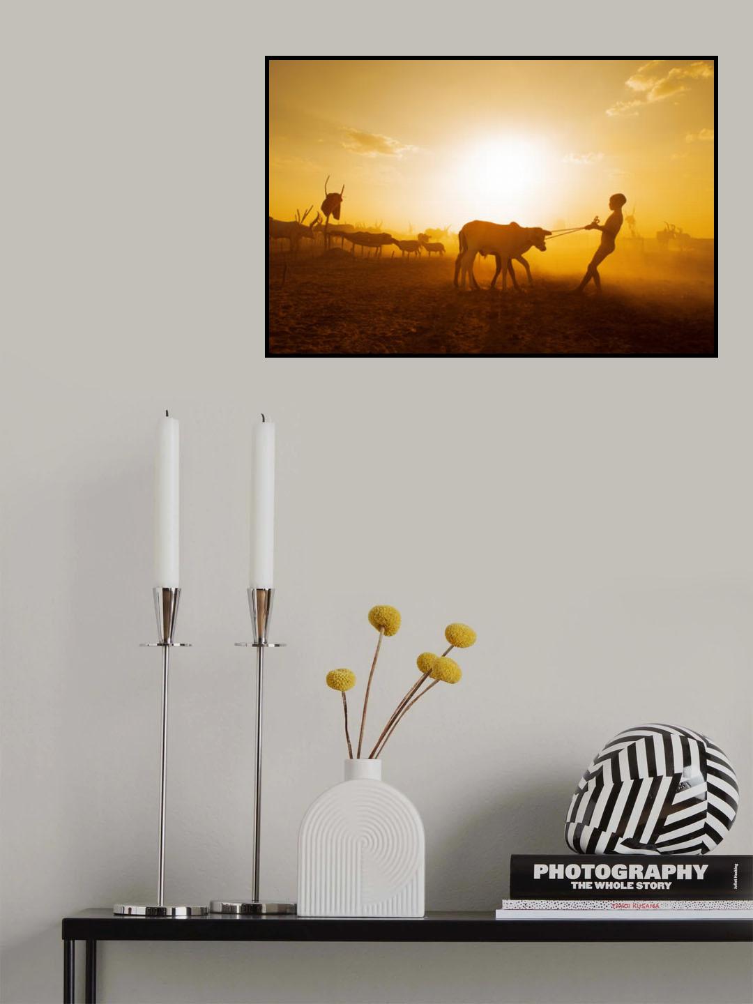 Back to the Cattle Poster och Canvastavla