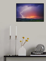 Elegance Poster och Canvastavla