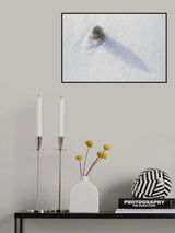Alone in the field Poster och Canvastavla