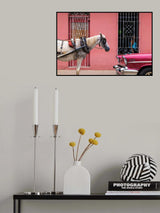 The Vintage Poster och Canvastavla