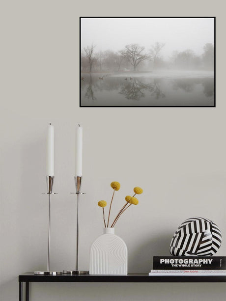 Poster och Canvastavla