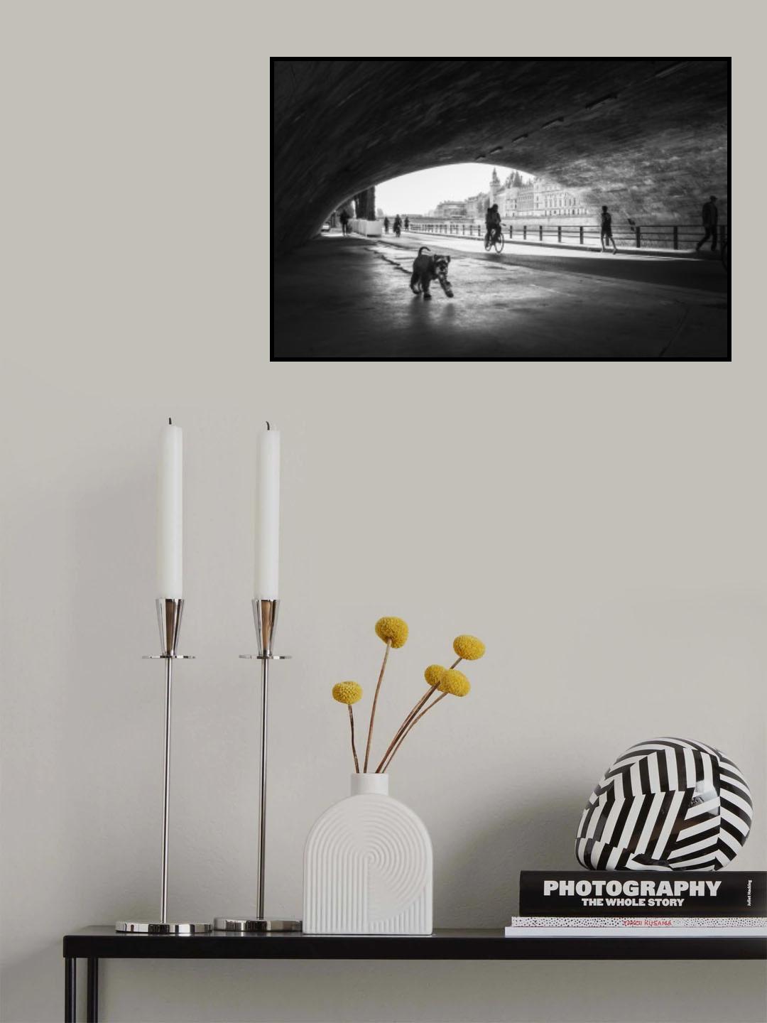 Morning Walk Poster och Canvastavla