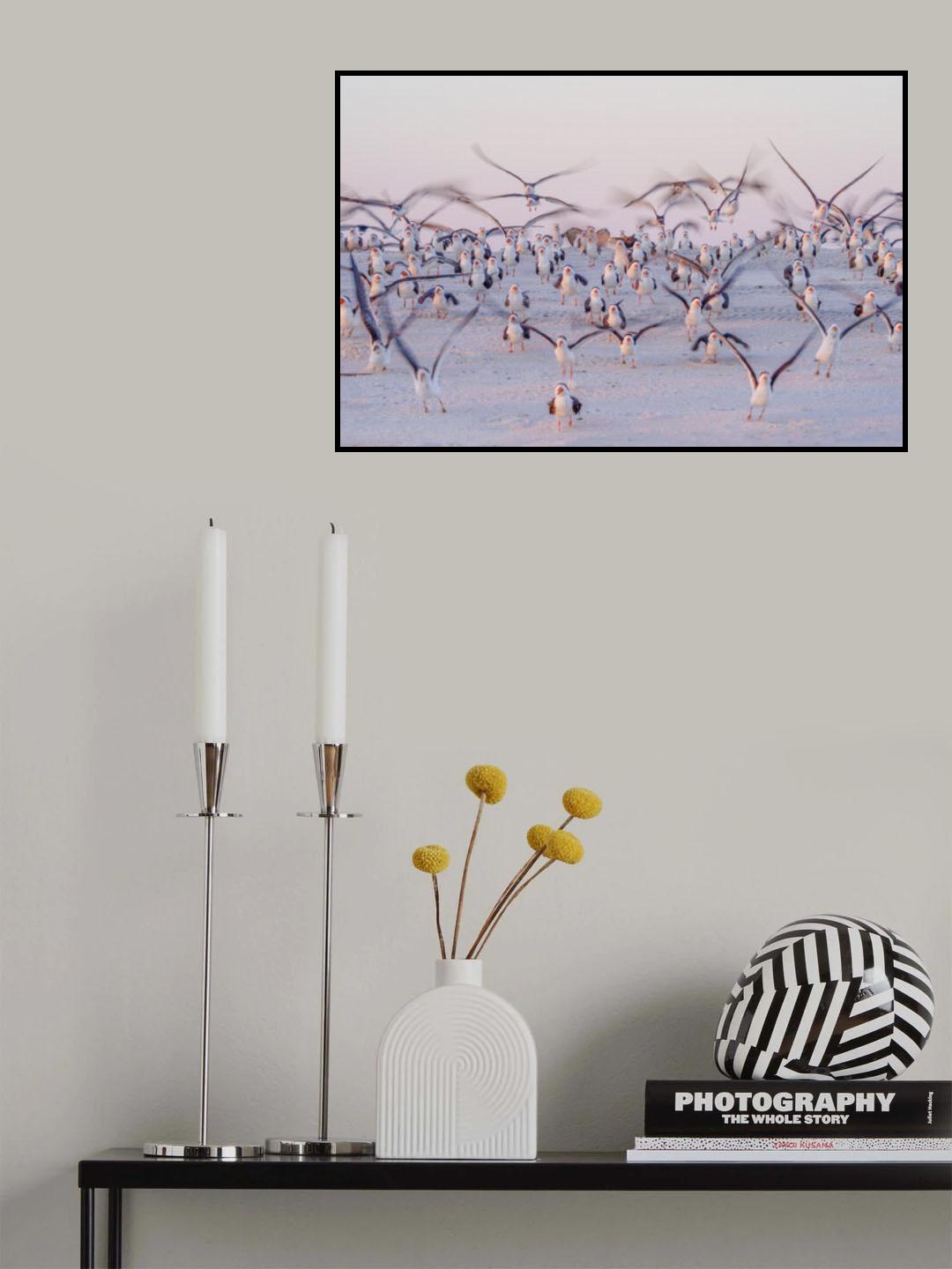 Flying At Beach Poster och Canvastavla