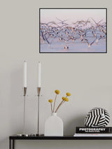 Flying At Beach Poster och Canvastavla
