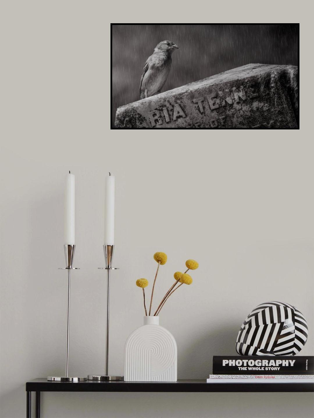 The Guardian Poster och Canvastavla