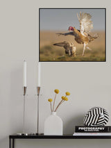 Poster och Canvastavla