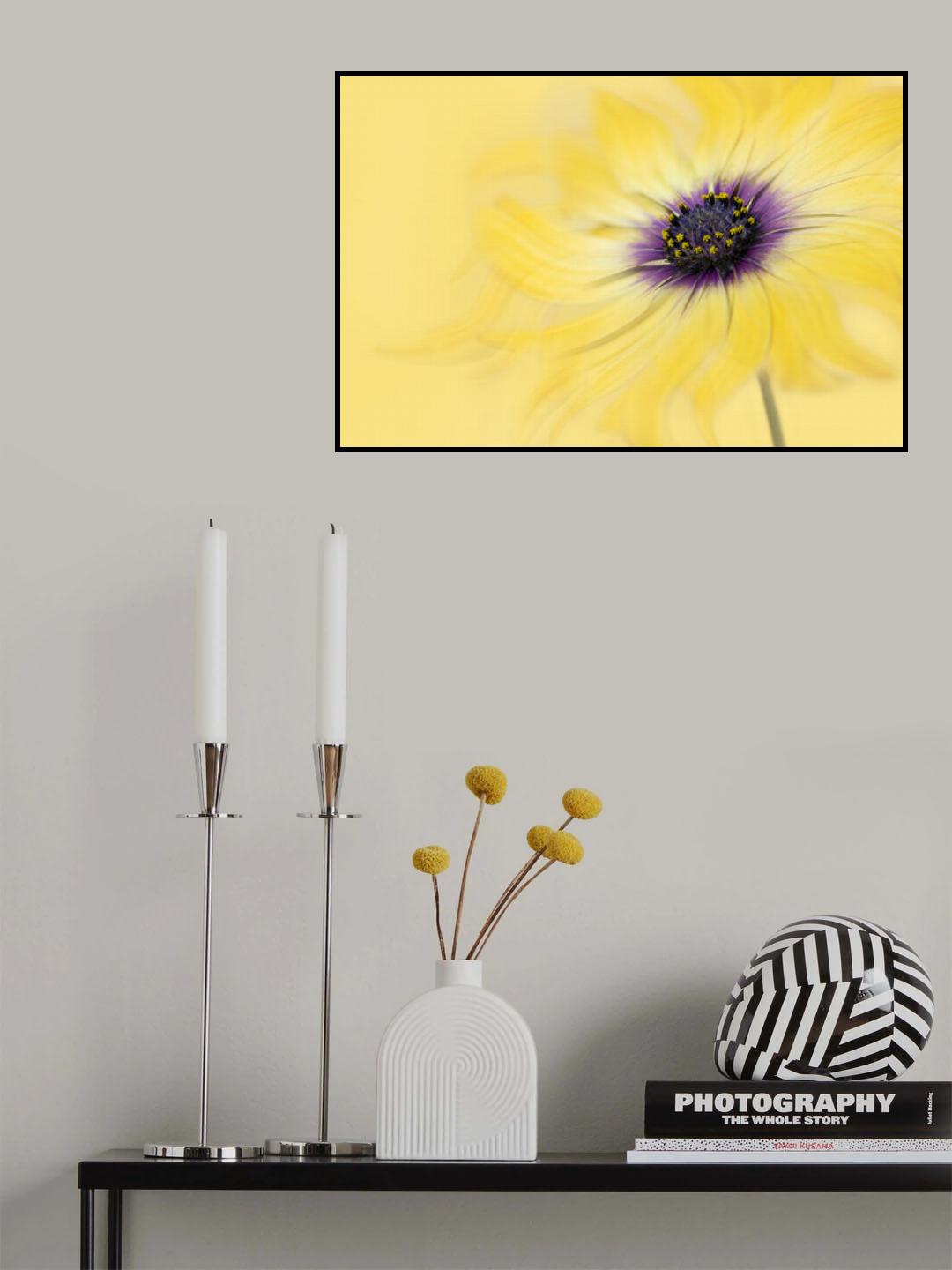 Golden Daisy Poster och Canvastavla
