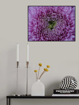 beautiful pink flower Poster och Canvastavla
